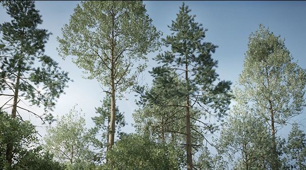 客製化你的樹木模型與動畫，Blender 外掛 The Grove 10 帶來更直覺的創作體驗