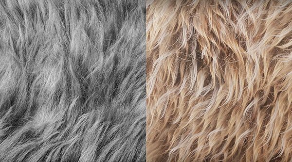 奇幻生物、擬真動物的創作秘密！統整 10 組角色設計師必備的毛髮資源