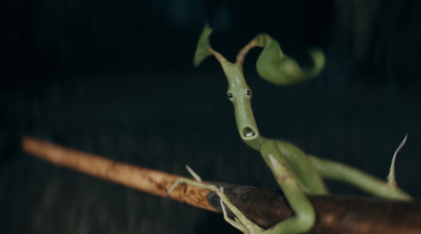 木精皮克特：「我還沒上車啊！」專訪《怪獸與鄧不利多的秘密》特效團隊，一探奇幻生物的幕後製作