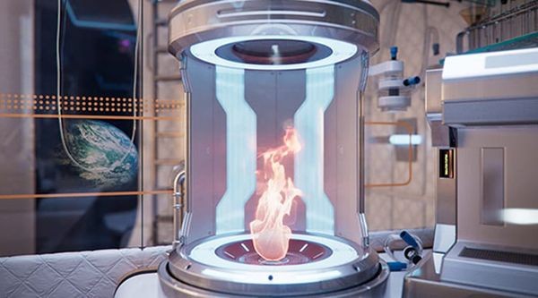 feature-thumb-fire-pheonix5-600x333