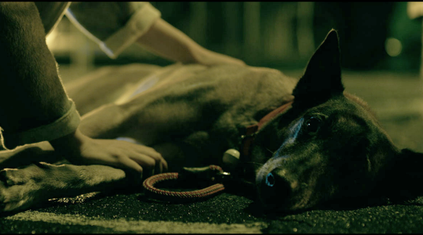 原來音效、配樂、對白都屬於聲音設計？專訪《月老》、《庭中有奇樹》台北電影獎最佳聲音設計雙入圍者 - 高偉晏