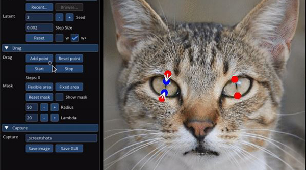最強修圖工具？！免費 AI 工具 DragGAN 讓用戶精準定位、靈活地操控圖像！