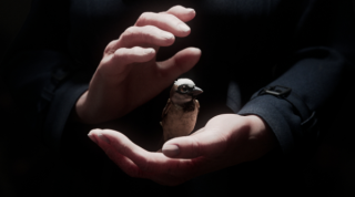 SIGGRAPH Asia 2025「電腦動畫節」公布得獎名單，本屆共吸引 39 國、488 件作品徵件，首設觀眾票選獎