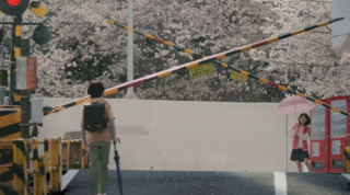 改編自新海誠致鬱經典，《秒速 5 公分真人版》三大看點：以櫻花的轉瞬即逝，映照青春裡未曾抵達的距離