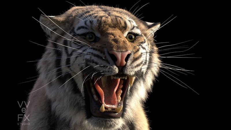 tiger_thumbnail